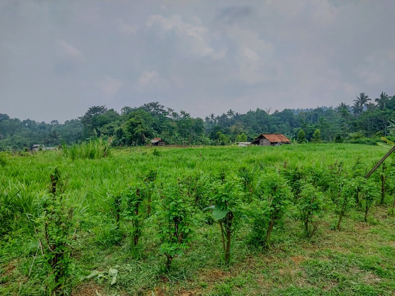 Tanah di Wanayasa Purwakarta, akses mudah ke Bojong, Babakancikao