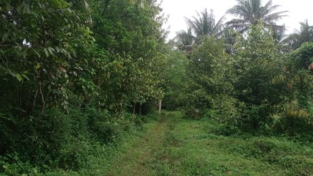 Tanah Strategis 7.124 Meter Di Zona Industri Tempuran Hanya150 Meter Dari Jalan Raya Utama Magelang - Purworejo, Tempuran Magelang