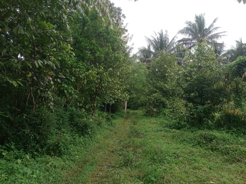 Tanah Strategis 7.124 Meter Di Zona Industri Tempuran Hanya150 Meter Dari Jalan Raya Utama Magelang - Purworejo, Tempuran Magelang