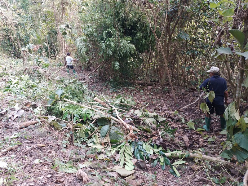 Tanah Pekarangan Lokasi Strategis Dekat Univ. Mercu Buana - Sedayu Bantul 