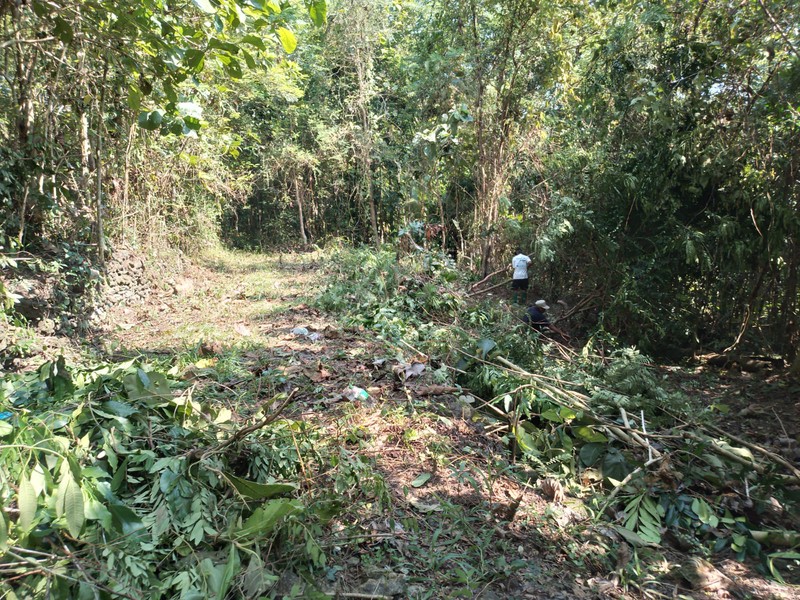 Tanah Pekarangan Lokasi Strategis Dekat Univ. Mercu Buana - Sedayu Bantul 