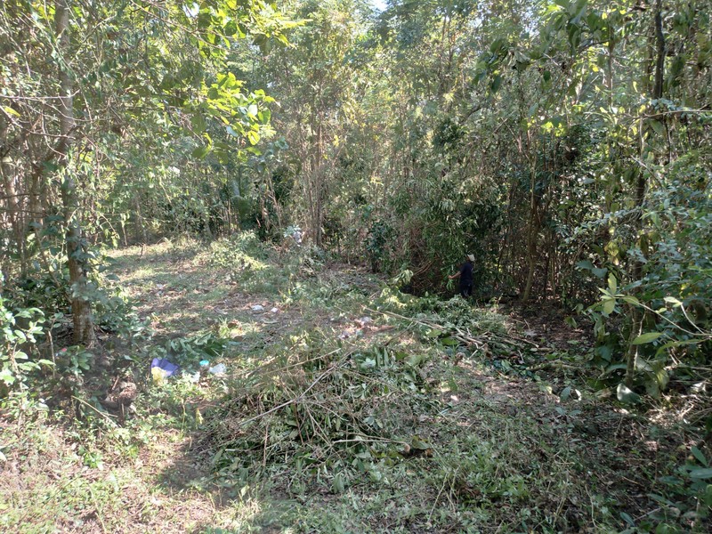 Tanah Pekarangan Lokasi Strategis Dekat Univ. Mercu Buana - Sedayu Bantul 