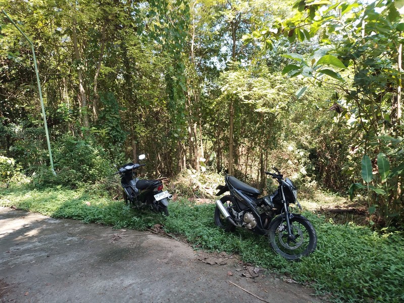 Tanah Pekarangan Lokasi Strategis Dekat Univ. Mercu Buana - Sedayu Bantul 