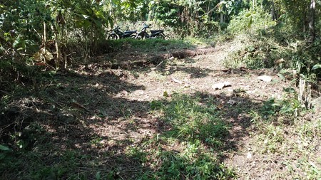 Tanah Pekarangan Lokasi Strategis Dekat Univ. Mercu Buana - Sedayu Bantul 