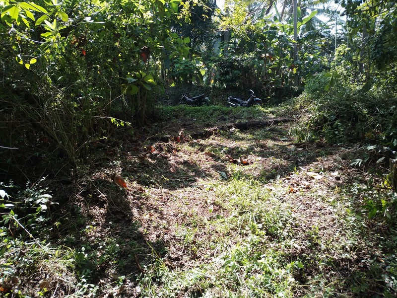 Tanah Pekarangan Lokasi Strategis Dekat Univ. Mercu Buana - Sedayu Bantul 