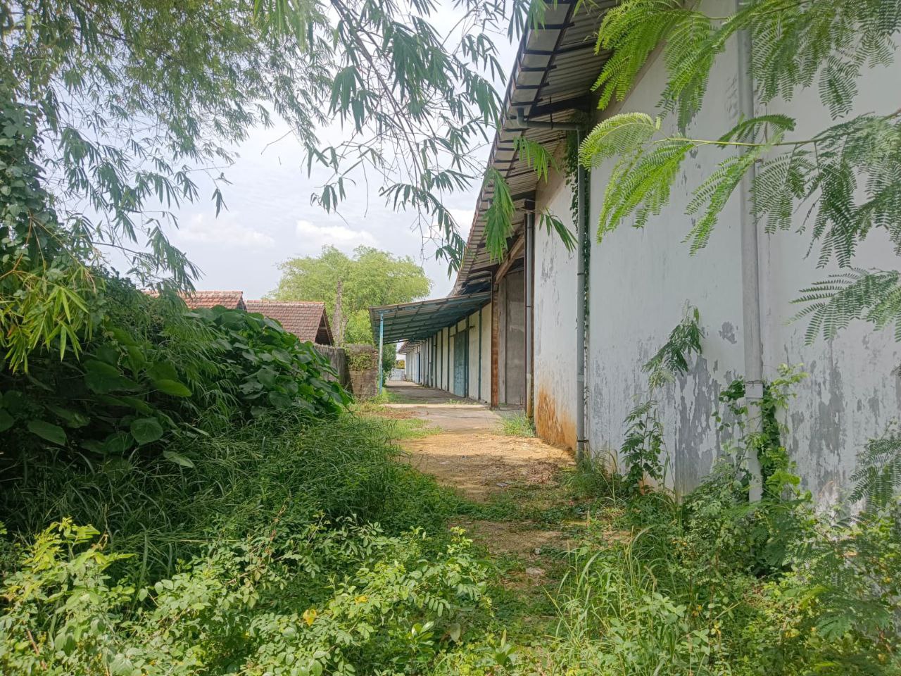 Jual Lelang Gudang Bekas Pabrik di Sidoarjo Sukodono