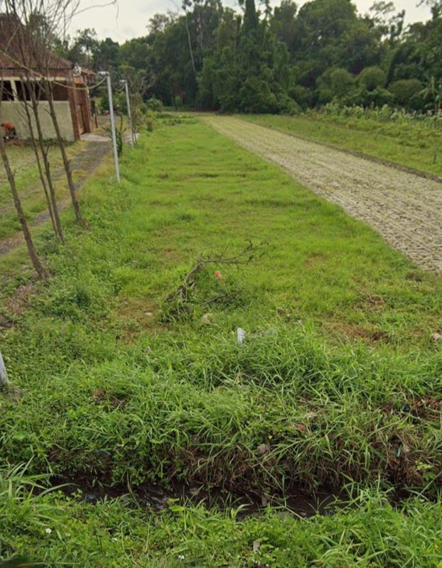 Tanah Sawah Strategis 562 Meter Persegi Lokasi Asri Dengan Investasi Menjanjikan, Sumber Kidul, Berbah, Sleman