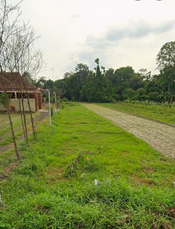 Tanah Sawah Strategis 562 Meter Persegi Lokasi Asri Dengan Investasi Menjanjikan, Sumber Kidul, Berbah, Sleman