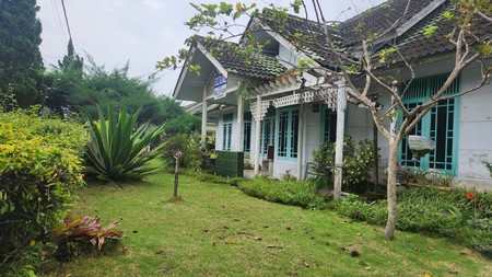 Cipanas villa palm luas 527 dekat kota bunga harga hitung tanah