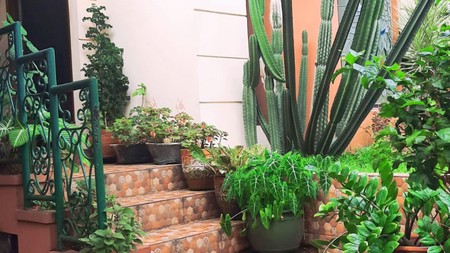 Rumah Bagus Siap Huni Asri di Jl Gedung Hijau, Pondok Indah, Jakarta Selatan