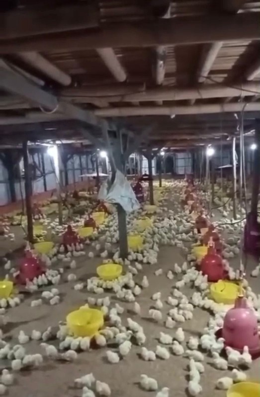 Kavling Di Lokasi Strategis Jl Cikancana Sukaresmi Cianjur Mang Kus Jawa Barat