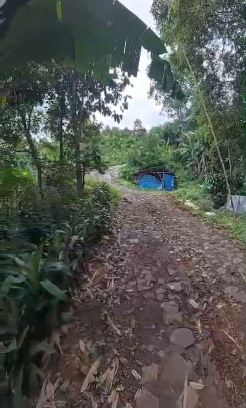 Kavling Di Lokasi Strategis Jl Cikancana Sukaresmi Cianjur Mang Kus Jawa Barat