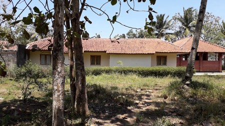 TANAH 11.800 METER BONUS BANGUNAN KLASIK, KUTOARJO, PURWOREJO