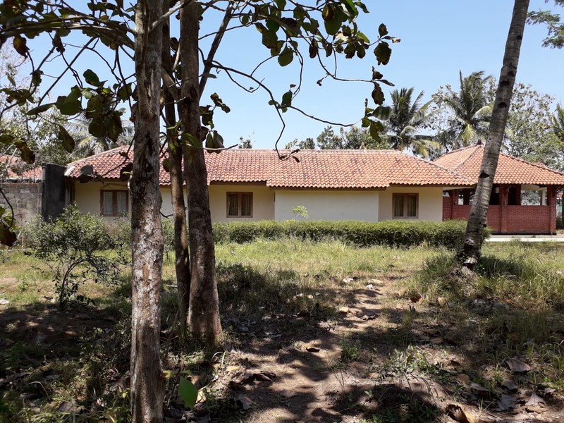 TANAH 11.800 METER BONUS BANGUNAN KLASIK, KUTOARJO, PURWOREJO