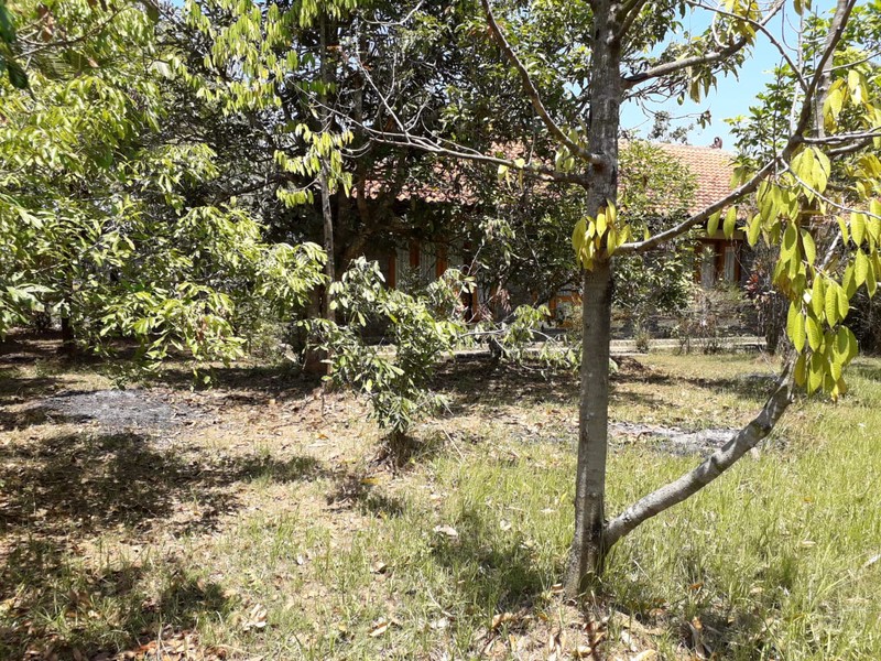 TANAH 11.800 METER BONUS BANGUNAN KLASIK, KUTOARJO, PURWOREJO