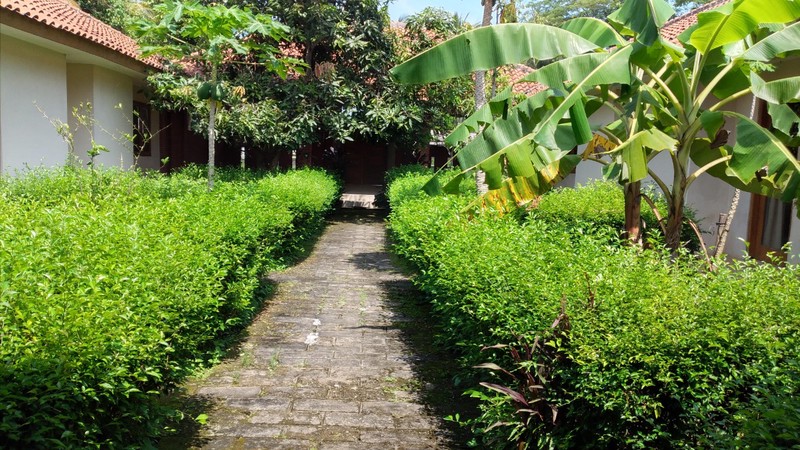 TANAH 11.800 METER BONUS BANGUNAN KLASIK, KUTOARJO, PURWOREJO