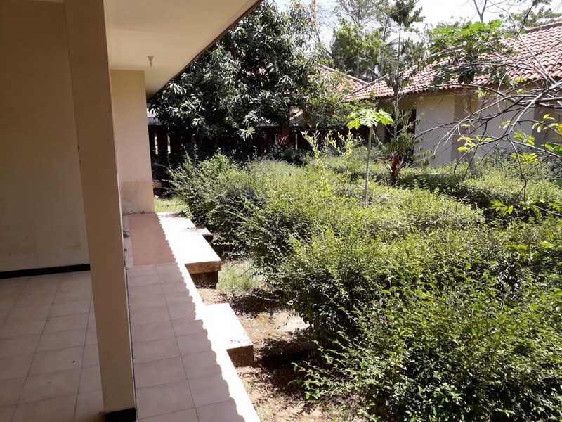 TANAH 11.800 METER BONUS BANGUNAN KLASIK, KUTOARJO, PURWOREJO