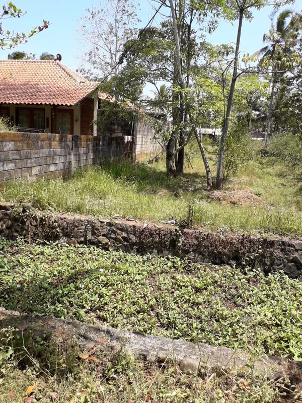 TANAH 11.800 METER BONUS BANGUNAN KLASIK, KUTOARJO, PURWOREJO