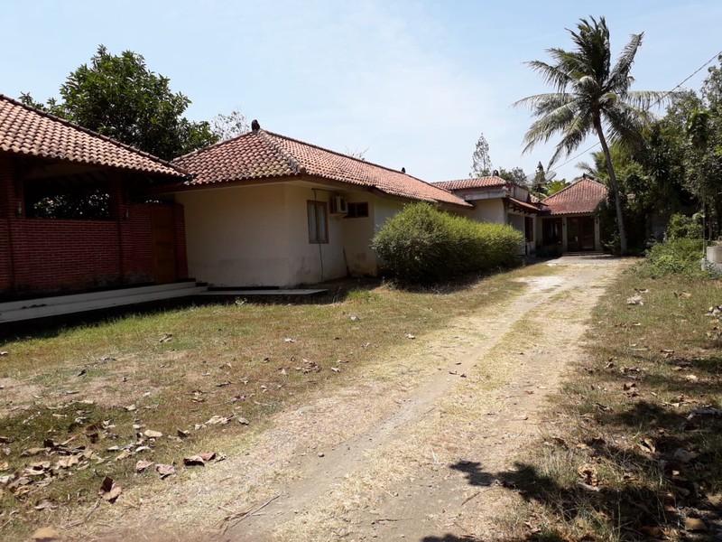 TANAH 11.800 METER BONUS BANGUNAN KLASIK, KUTOARJO, PURWOREJO