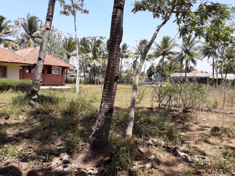 TANAH 11.800 METER BONUS BANGUNAN KLASIK, KUTOARJO, PURWOREJO