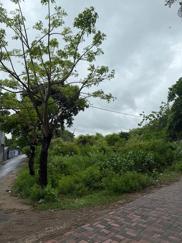 For Sale Prime Beachfront Land, Maluk Beach Sumbawa, Ocean Views