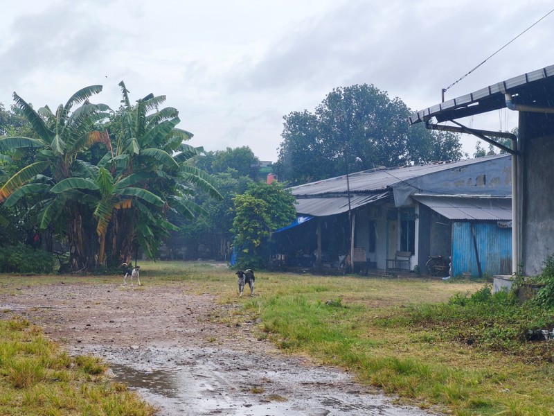 Gudang Jl. Lingkungan, Tegal Alur, Jakarta Barat