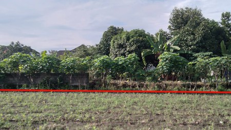 Dijual Tanah Luas 703 Meter Persegi Strategis Siap Bangun & Lokasi Menjanjikan, di Banguntapan, Bantul