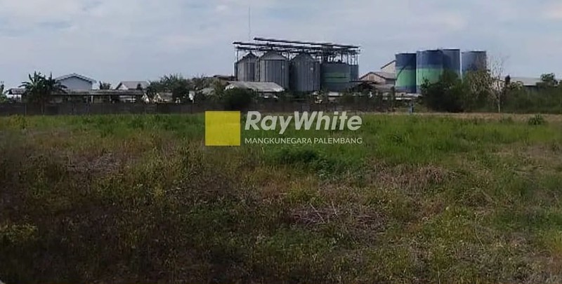 Tanah Dijual Di Tanjung Api - api Banyusin