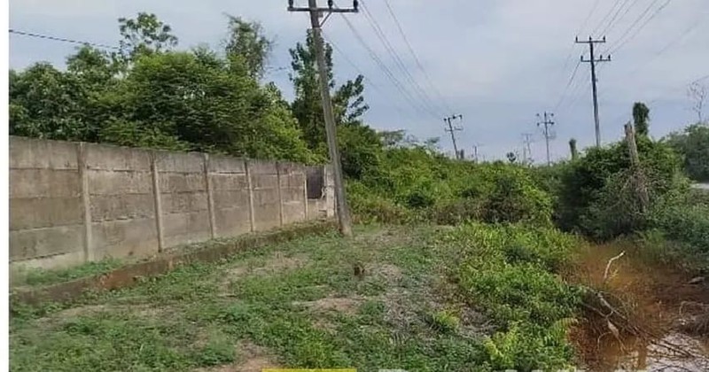 Tanah Dijual Di Tanjung Api - api Banyusin