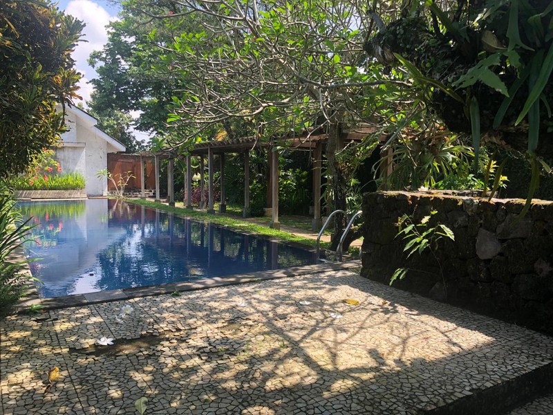 RUMAH CANTIK DILENGKAPI KOLAM RENANG, DI GRIYA TAMAN ASRI, SLEMAN