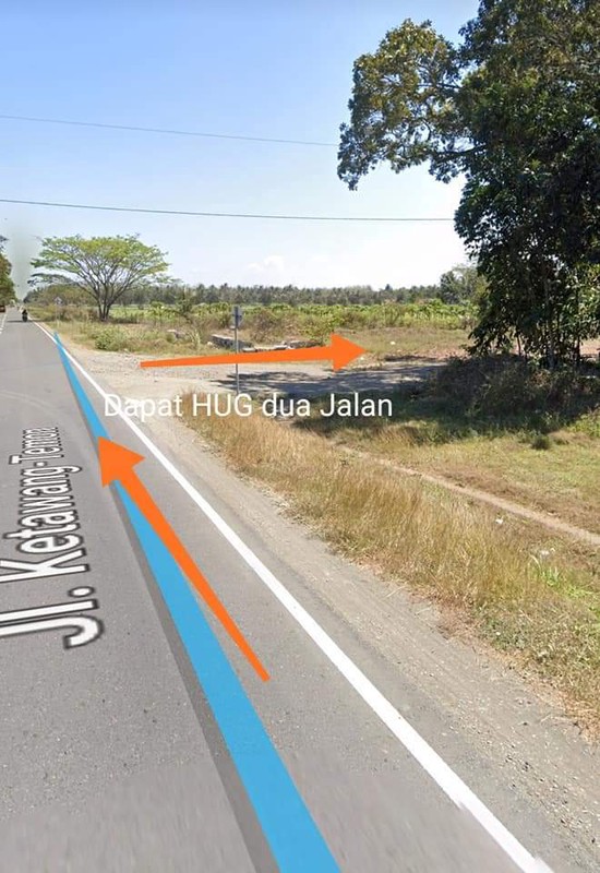 Tanah Pekarangan Strategis Jl. Daendels Purworejo - Luas 5.100 Meter Persegi Cocok untuk Investasi & Usaha, Nampurejo, Purwodadi, Purworejo