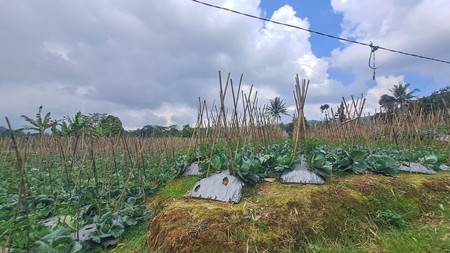 Tanah di Wanayasa Purwakarta, akses mudah ke Bojong, Babakancikao
