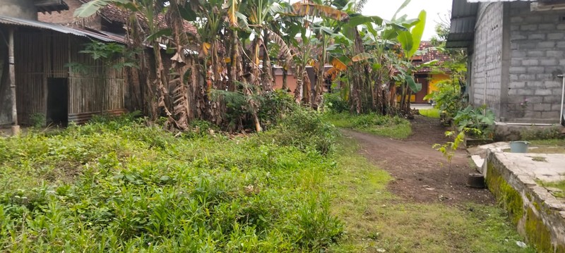 Tanah Pekarangan Luas 975 Meter Persegi Lokasi Strategis di Piyungan Bantul 