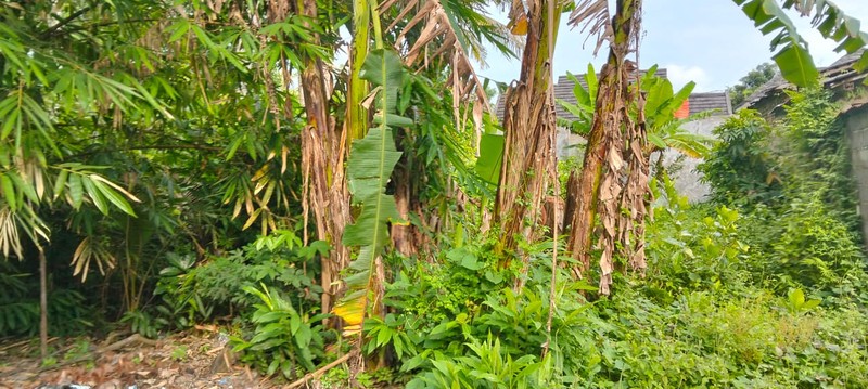 Tanah Pekarangan Luas 975 Meter Persegi Lokasi Strategis di Piyungan Bantul 