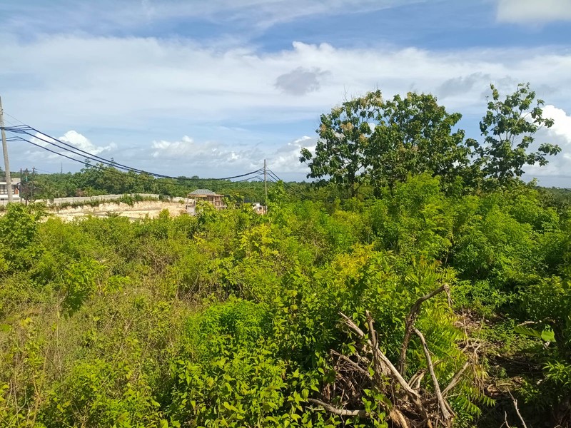 Land Freehold 12 Minute To The Beach Balangan Bali