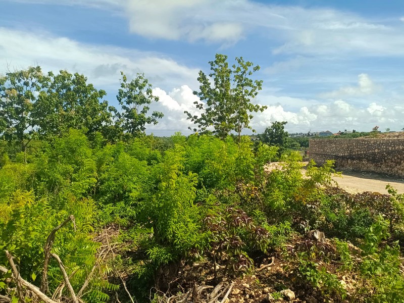 Land Freehold 12 Minute To The Beach Balangan Bali