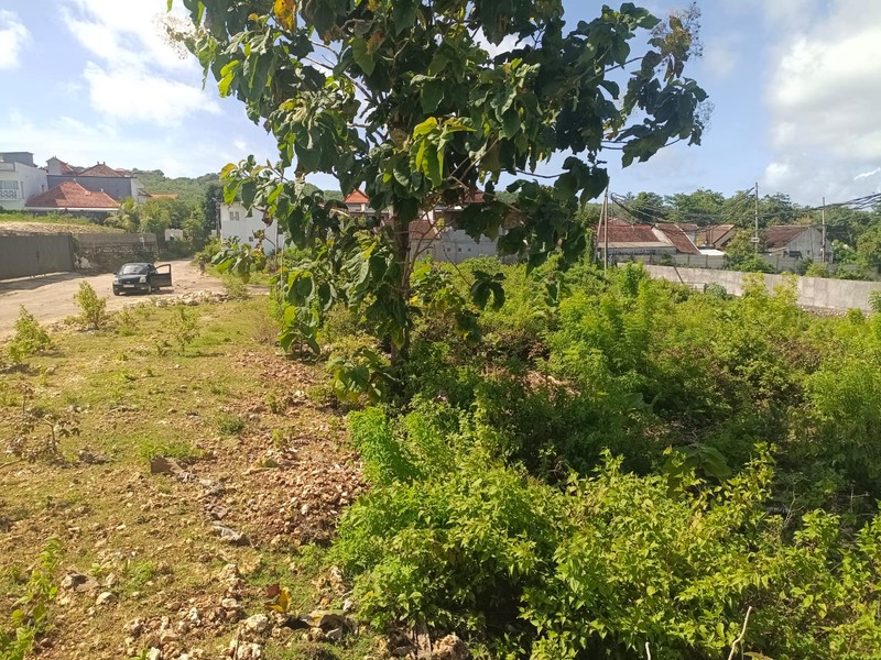 Land Freehold 12 Minute To The Beach Balangan Bali