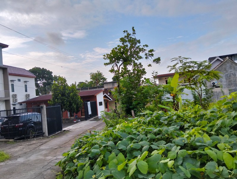 Disewakan Tanah Luas 200 Meter Persegi - Dekat Kampus UII Sardonoharjo Ngaglik Sleman