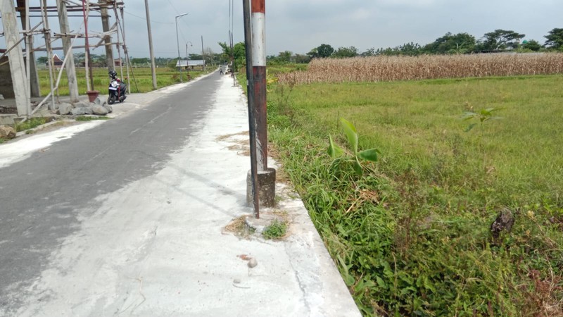 Disewakan Tanah Sawah Cocok Untuk Usaha - Lokasi Strategis di Sekarsuli Klaten 