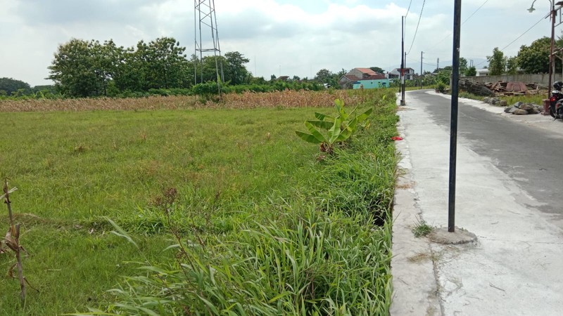 Disewakan Tanah Sawah Cocok Untuk Usaha - Lokasi Strategis di Sekarsuli Klaten 