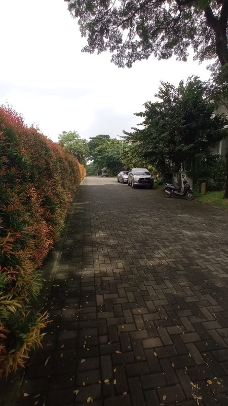 Kavling lokasin Premium Allevare Foresta BSD city 