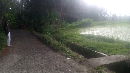 Dijual Tanah Sawah Strategis 595 Meter Persegi, Hanya 5 Menit ke Bandara YIA di Temon, Kulon Progo