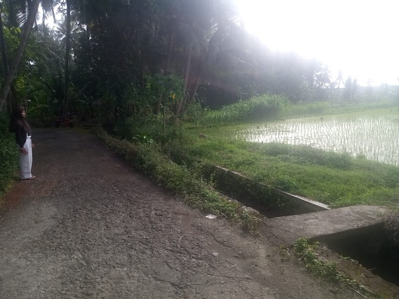 Dijual Tanah Sawah Strategis 595 Meter Persegi, Hanya 5 Menit ke Bandara YIA di Temon, Kulon Progo