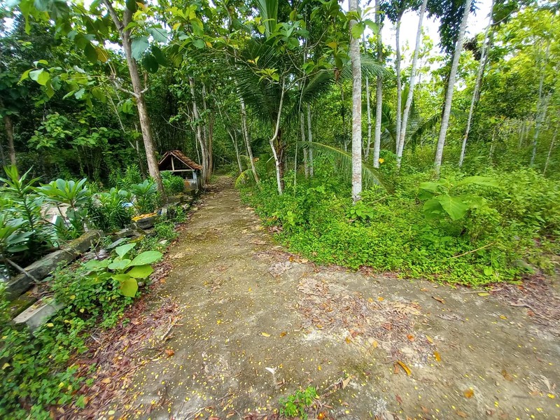 Tanag Pekarangan Luas 1511 Meter Persegi Lokasi Strategis di Bambang Lipuro - Bantul 