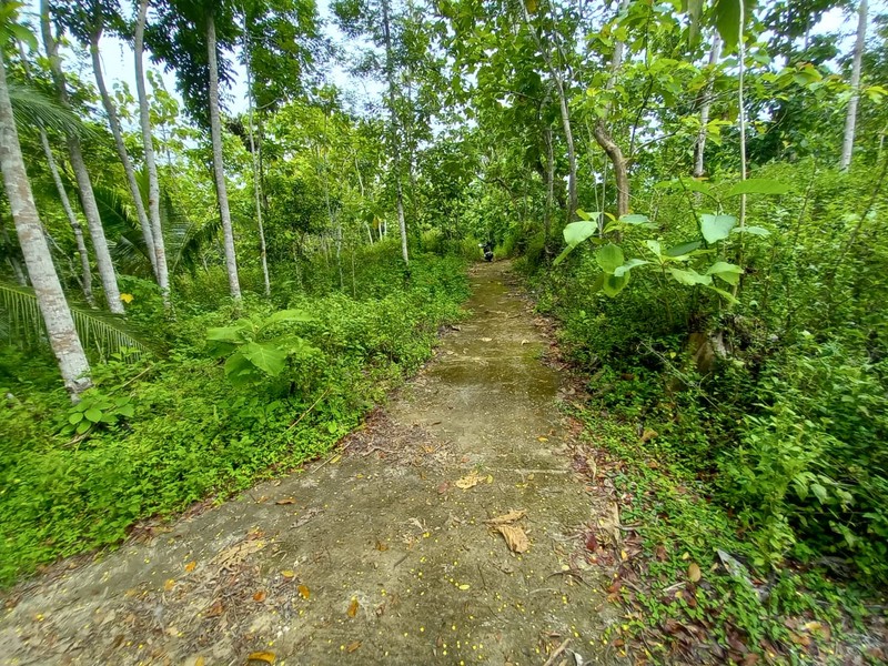 Tanag Pekarangan Luas 1511 Meter Persegi Lokasi Strategis di Bambang Lipuro - Bantul 
