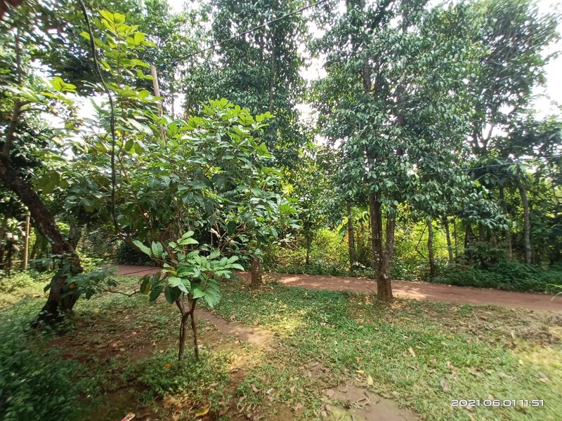 Di jual tanah 1400m2 di Cikarageman Setu Bekasi