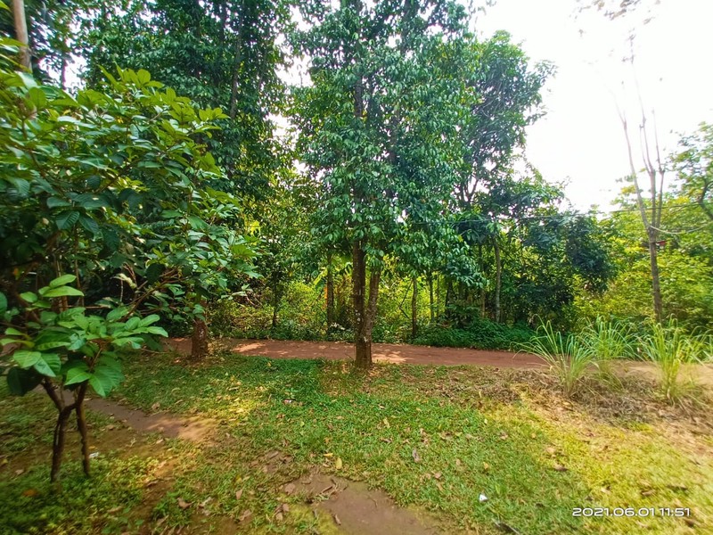 Di jual tanah 1400m2 di Cikarageman Setu Bekasi