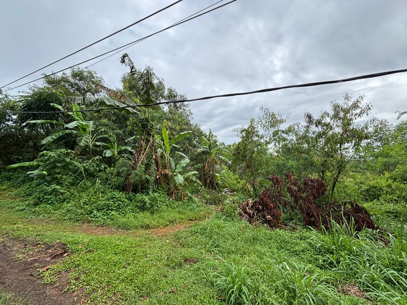 Tanah 9.760m2 di Jl. Raya Curug Bojongsari Depok