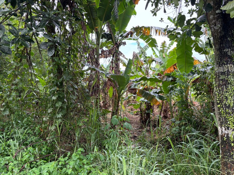 Tanah 9.760m2 di Jl. Raya Curug Bojongsari Depok