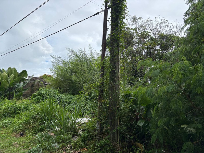 Tanah 9.760m2 di Jl. Raya Curug Bojongsari Depok